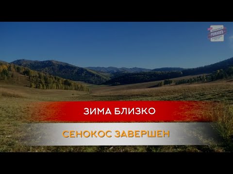 Видео: Сенокос закончен. Готовимся к зиме! #ферма #сенокос #жизньнаприроде