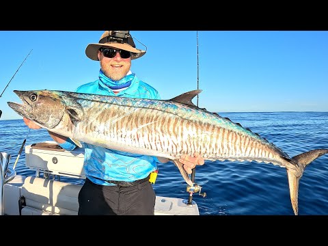 Видео: Настало время БИГ МАКА!!!