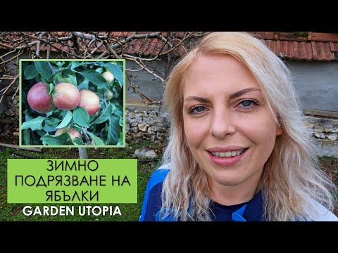 Видео: ЗИМНА РЕЗИТБА на ЯБЪЛКИ: Видове пъпки и рязания