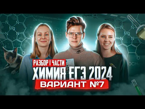 Видео: Вариант №7 ЕГЭ по ХИМИИ 2024, Степенин и Дацук | Анна, Влад, Варя и Катя с химфака МГУ