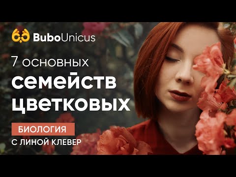 Видео: 7 основных семейств цветковых | БИОЛОГИЯ ЕГЭ | Лина Клевер