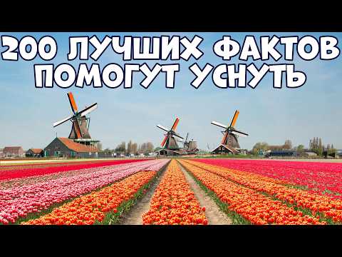 Видео: 200 ЛУЧШИХ ФАКТОВ, КОТОРЫЕ ПОМОГУТ УСНУТЬ