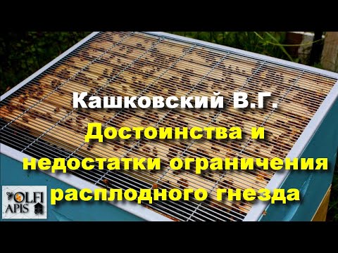 Видео: #Кашковский В.Г. Достоинства и недостатки ограничения расплодного гнезда
