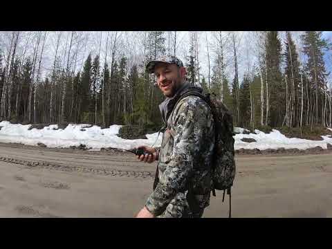 Видео: ОХОТА НА МЕДВЕДЯ ВЕСНОЙ. БЕЛОМОРСК