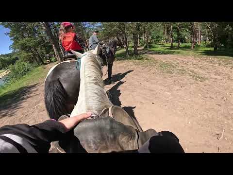Видео: Алиса и прогулка на лошадях в Архызе