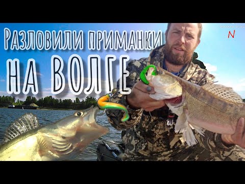 Видео: Рыбалка на джиг в Старом Кстово.Разлавливаю силиконовые приманки.