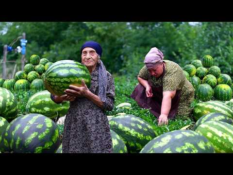 Видео: Сбор арбуза | Приготовление арбузного джема и лукума
