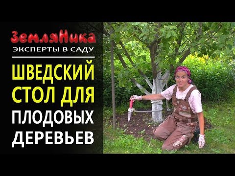 Видео: Как и чем удобрять плодовые деревья. Удобряем груши и яблони. 0+