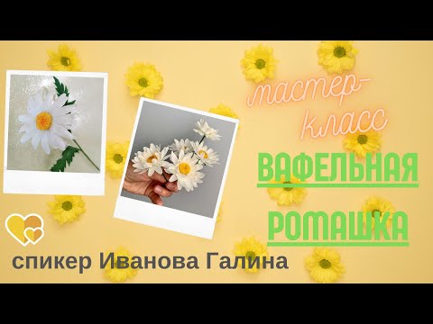 Видео: МК 🌼Вафельная ромашка от @mk galka nova🌼waffle chamomile