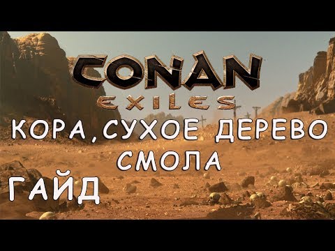 Видео: CONAN EXILES | КОРА, СУХОЕ ДЕРЕВО, СМОЛА | ГАЙД