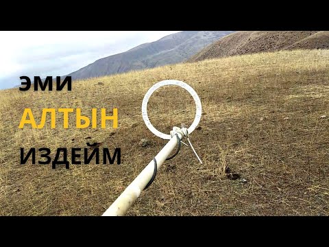 Видео: ТЕМИР АЛТЫН тапса болобу ?