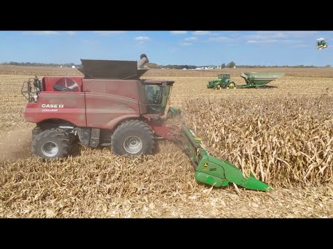Видео: Урожай кукурузы во Франфорте, штат Индиана, 2025 | Harness Farms