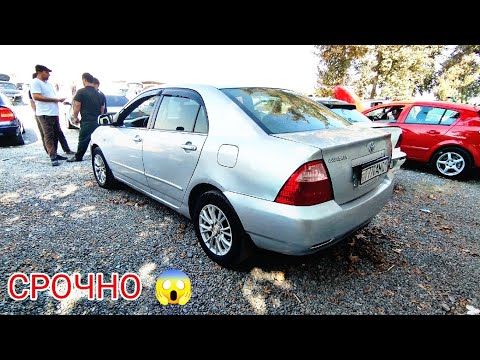 Видео: Мошинбозори Восеъ ✓ 05.10.2024 Carolla 1 Astra G Hyundai Porter 1 Astra F Mercedes C-class Leganze 💪