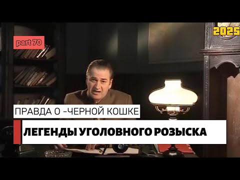 Видео: ПРАВДА О -ЧЕРНОЙ КОШКЕ | Легенды уголовного розыска 2025 HD