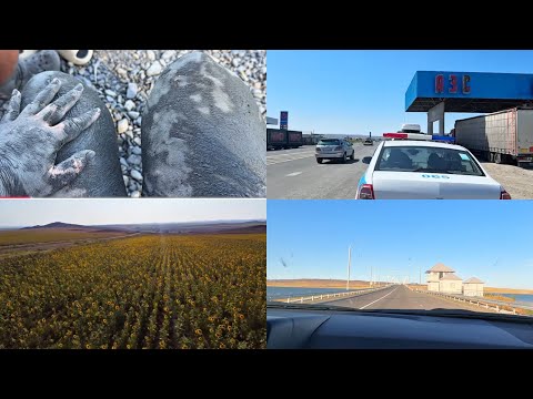Видео: #8 Нас поймала полиция/ Последний день на Алаколе /Обзор трассы АЛАКОЛЬ-АЯГОЗ-КАЛБАТАУ-МОСТ Бухтарма