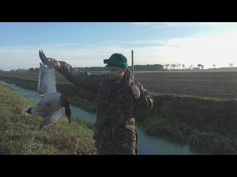 Видео: ОХОТА НА ОСЕННЮЮ УТКУ!!! УТКА..С ЯБЛОКАМИ!!!!