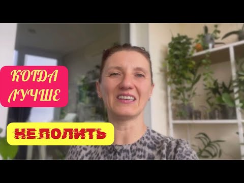 Видео: Как я спасаю растения на лоджии без отопления! Орхидеи и Хойи на северной лоджии