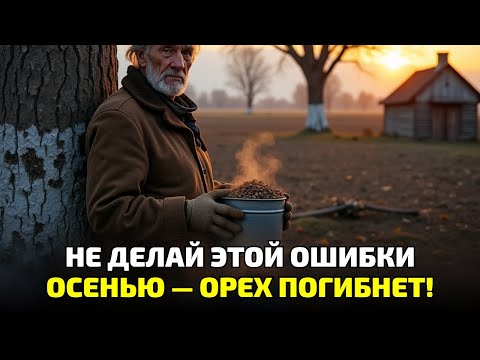 Видео: Почему твой орех не плодоносит? Ты не сделал это осенью!