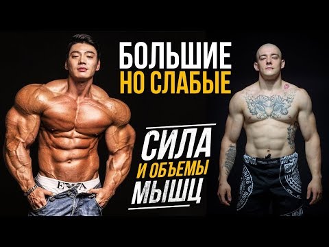 Видео: ЗАВИСИТ ЛИ СИЛА ОТ РАЗМЕРА МЫШЦ? (Бодибилдер против Пауэрлифтера, Тяжелоатлета или Гимнаста)