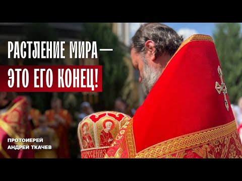 Видео: Мир воюет с небом! Отец Андрей Ткачёв