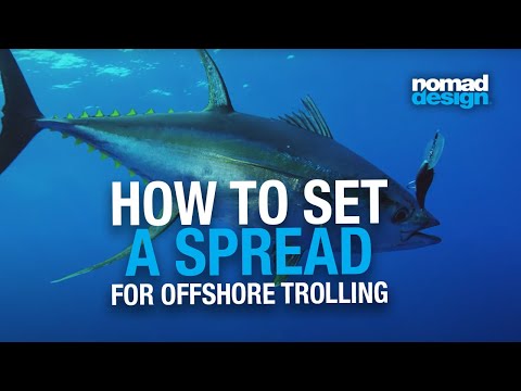 Видео: Как расставить приманки Nomad Design Offshore Trolling для ловли тунца и ваху