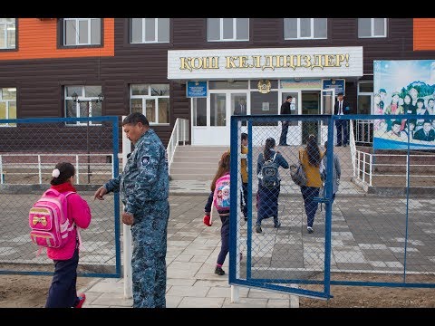 Видео: Шеш