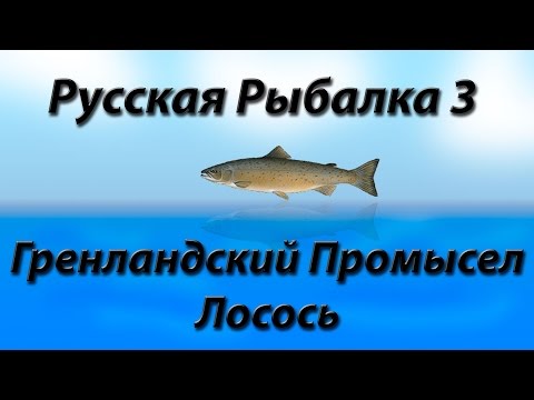 Видео: Гренландский Промысел Лосось