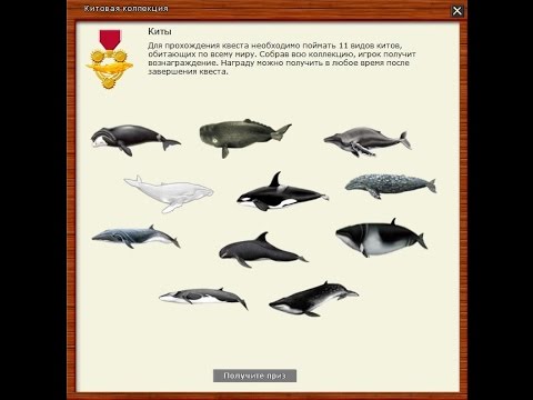 Видео: Русская Рыбалка 3.99 Квест Киты