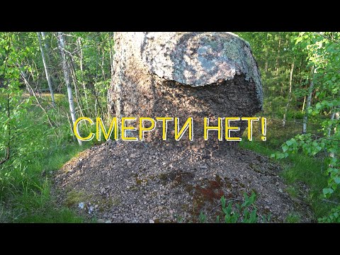 Видео: Смерти нет, если ты духовно возвысился до бессмертия!