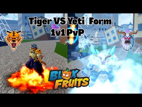 Видео: Переработка тигрового фрукта против йети-фрукта (форма) в PvP 1 на 1: что лучше? Фрукты Блокса