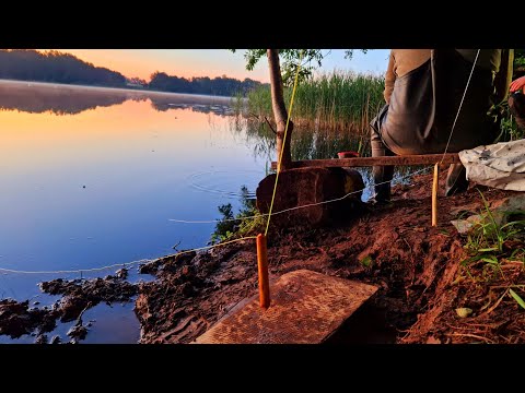 Видео: ЛОВИМ ЛЕЩЕЙ НА РЕЗИНКУ В ИЮНЕ.Рыбалка на резинку, донку с начёвкой как в детстве