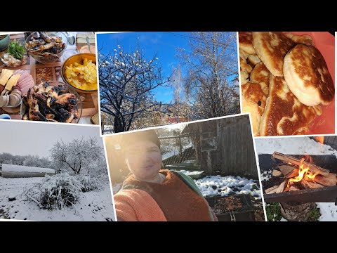 Видео: Выходные в деревне.  Первый снег 