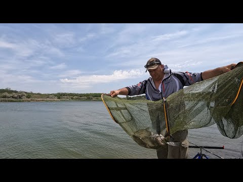 Видео: Посадил дерево. Сменил обстановку. Половил фидером на Бердянском водохранилище. 04 06 2025