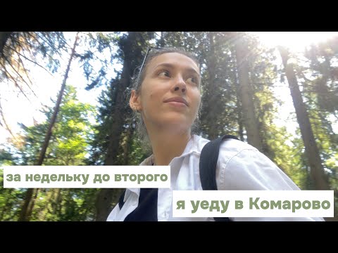 Видео: Комарово. Экотропа и побережье Финского залива | vlog 15