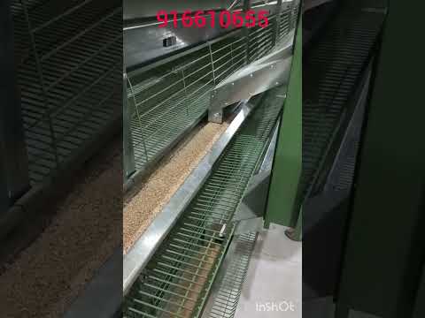 Видео: Бедана ва товук кафас