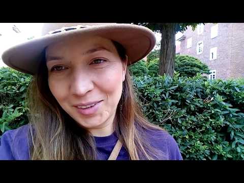 Видео: Беременность и аппетит. Как я похудела будучи беременной