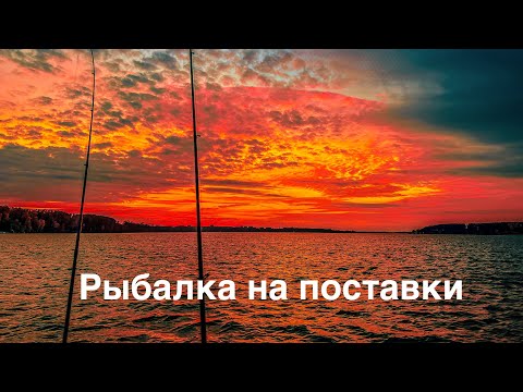 Видео: Рыбалка на поставки | Бердский залив | 4K