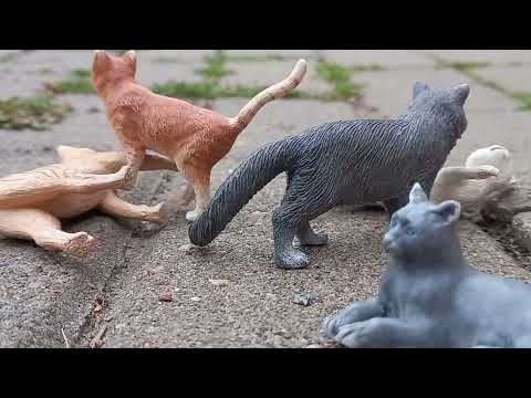 Видео: грозовое племя 🌩1 сезон 5 серия