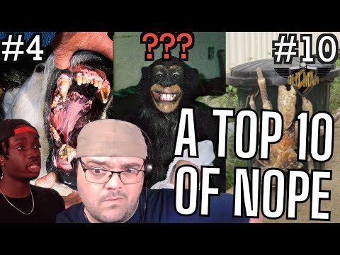 Видео: 10 самых тревожных способов, которыми животные могут на вас охотиться — реакция на Casual Geographic