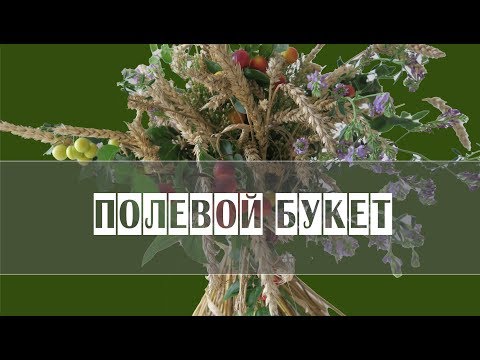 Видео: ПОЛЕВОЙ БУКЕТ С КОЛОСЬЯМИ | Полевые цветы | Мастер-класс