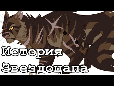 Видео: История Звездоцапа(по просьбе подписчика)/Коты-воители