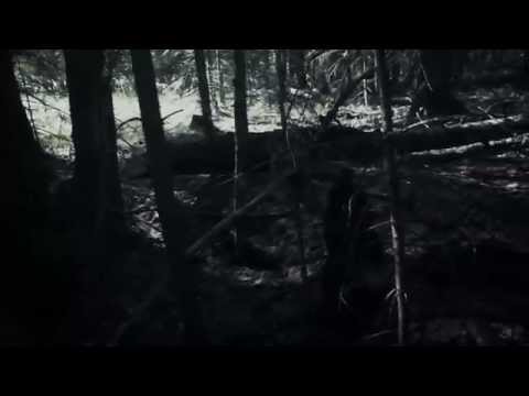 Видео: Паранормальное явление, ночи на раскопках