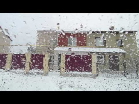 Видео: Покатаемся по городу, № 275.Куса.(декабрь 2024) KorgStyle  Wild Nature  Relaxing Euro Disco& Danekoo