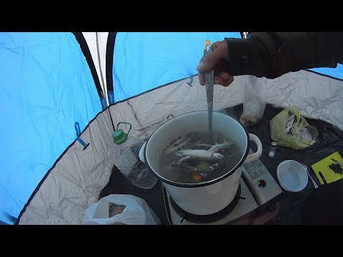 Видео: Мотобуксировщик Paxus и зимняя рыбалка во Владивостоке