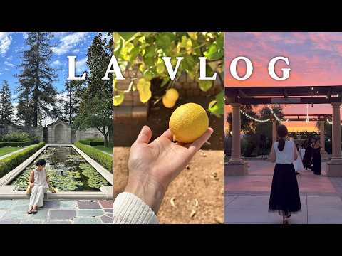 Видео: Особая неделя в Лос-Анджелесе ✨ Свадьба, балет, тур, закаты | Влог о путешествии