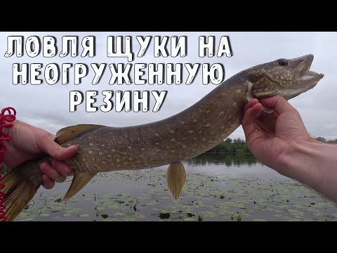 Видео: Ловлю щуку в траве на неогруженную резину! Отличный способ!