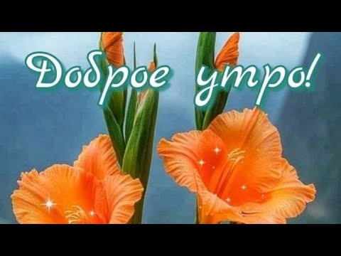 Видео: Доброе Утро! Безработные будут платить! 😮