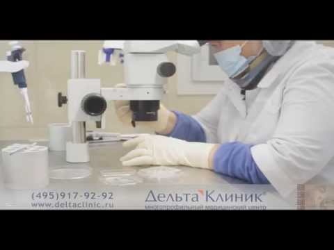 Видео: Определение отцовства по ДНК