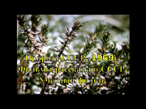 Видео: ПРИРОДА СССР. Фильмы-рассказы  о СССР. (1969)