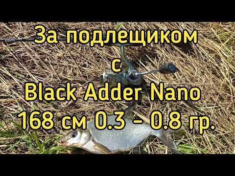 Видео: За подлещиком с Black Adder Nano 168 см. 0.3 - 0.8 гр.